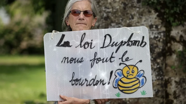 Loi Duplomb censurée par Conseil constitutionnel